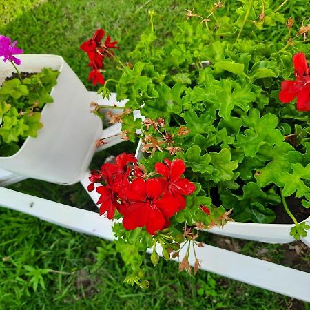 Vila Pushimi Regis Velipojë Dış mekan fotoğraf